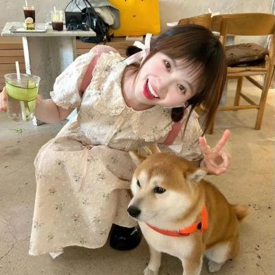 金刀秘卫之婳美人